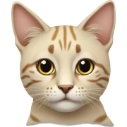 Кот sticker
