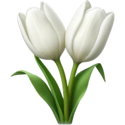 White tulips sticker