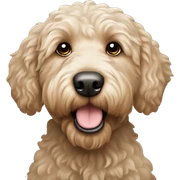 LABRADOODLE  sticker