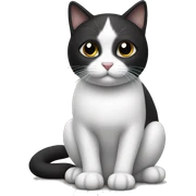 black and white cat sitting sticker