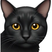 black cat sticker