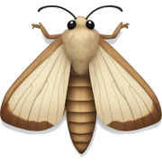 Moth sticker