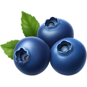 Blueberries  sticker