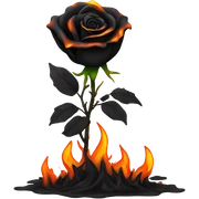 BURNING BLACK ROSE sticker