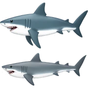 shark with shark sticker