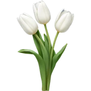 White tulips sticker