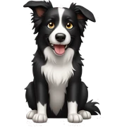 Border collie dog sticker