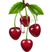 Dripping cherry sticker