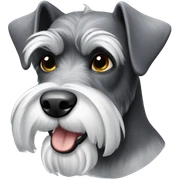 Schnauzer  sticker