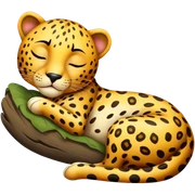 Leopard body sleeping sticker