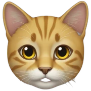 Gato amarillo  sticker