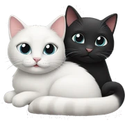 Black cat and white cat in love sticker