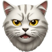 angry cat  sticker