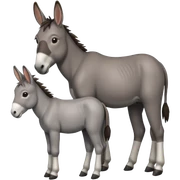 À young aged donkey with an adult donkey with a small space between them sticker