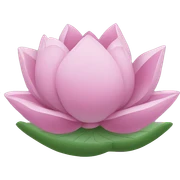 Lotus sticker