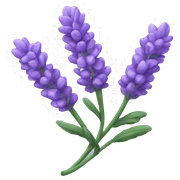 Lavender sticker