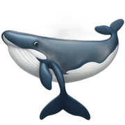 whale sticker