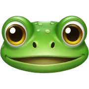 Frog  sticker