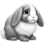 bunny lop sticker