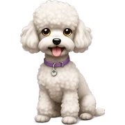 toy poodle sticker