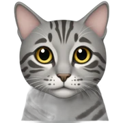 Grey Tabby Cat sticker