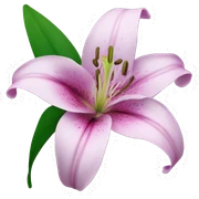 lilly flower sticker