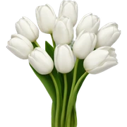 white tulip bouquet  sticker