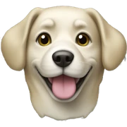 Dog with money sticker