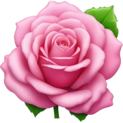 Rosa sticker
