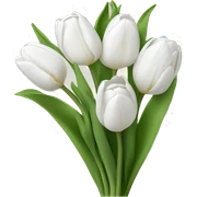 White tulips  sticker