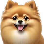 Pomeranian  sticker