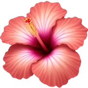 hibiscus flower sticker