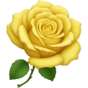yellow rose sticker