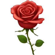 Red rose  sticker