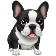 a black French bulldog sticker