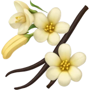 Vanilla  sticker