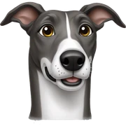 Greyhound sticker