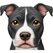 Pitbull  sticker