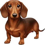 Brown dachshund sticker