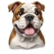 English bull dog sticker