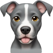 Gray Pitbull puppy sticker
