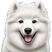 Samoyedo sticker