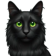 Long hair black cat with green eyes sticker