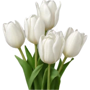white tulips sticker