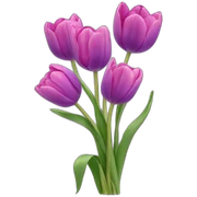 Purple and pink Tulip bouquet sticker