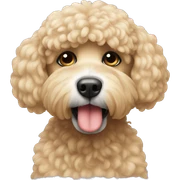 Caniche et coeur sticker