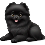 Black Pomeranian puppy sticker