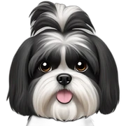 Shih tzu black sticker