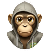 An athletic monkey in a stone island hoodie. sticker