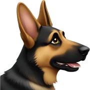 German shepherd  sticker